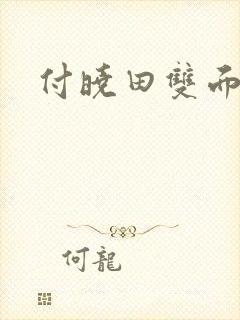 付晓田双面间谍