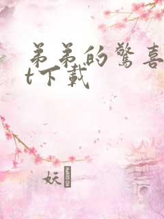 弟弟的惊喜txt下载