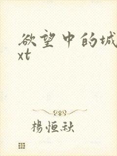 欲望中的城市txt