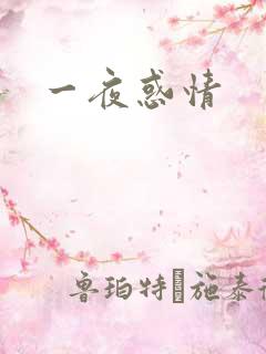 一夜惑情
