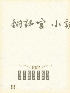 翻译官 小说