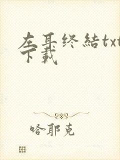 左耳终结txt下载