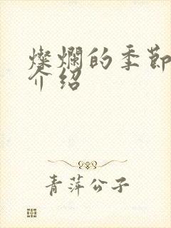 灿烂的季节剧情介绍