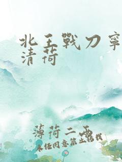 北王战刀宁北苏清荷