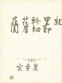 在花轿里就开始圆房细节