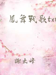 凤舞战歌txt