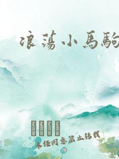浪荡小马驹
