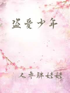 盗爱少年