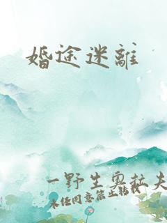 婚途迷离