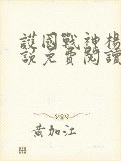 护国战神杨风小说免费阅读