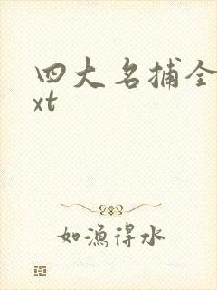 四大名捕全集txt