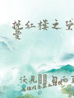 挽红楼之黛玉绝爱