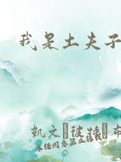 我是土夫子