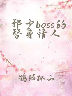 邪少boss的替身情人
