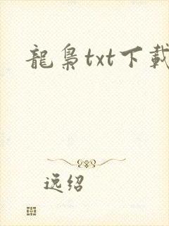 龙枭txt下载
