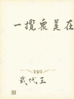 一揽众美在三国