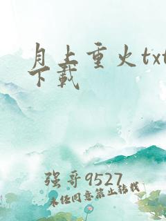 月上重火txt下载