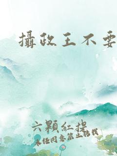 摄政王不要