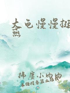 大龟慢慢挺进张燕