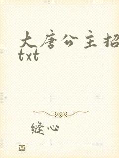 大唐公主招亲记txt