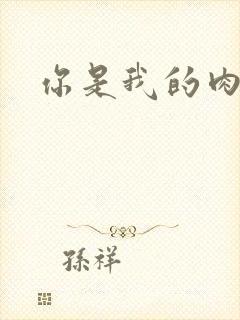 你是我的肉便器