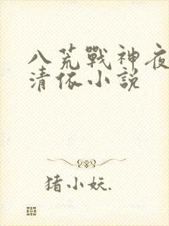 八荒战神夜麟云清依小说