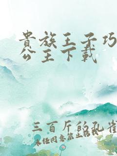 贵族王子巧遇穷公主下载