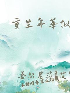 重生年华似锦