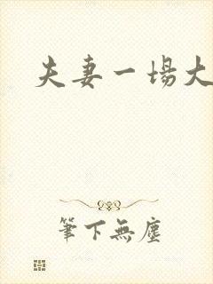 夫妻一场大结局