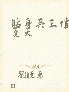 贴身兵王俏总裁夏天