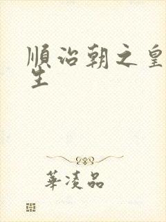 顺治朝之皇后重生