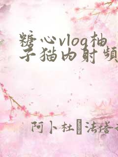 糖心vlog柚子猫内射频