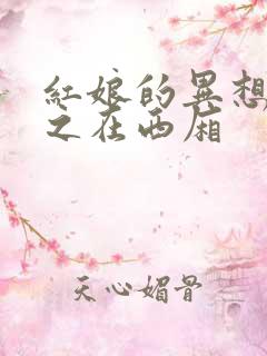 红娘的异想世界之在西厢