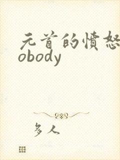 元首的愤怒之nobody