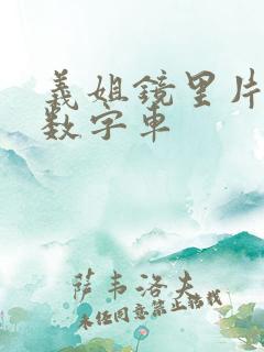 义姐镜里片微博数字车