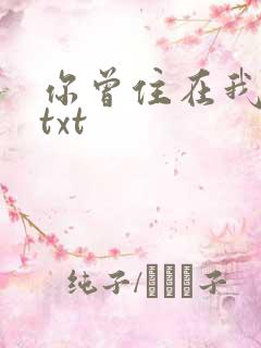 你曾住在我心上txt