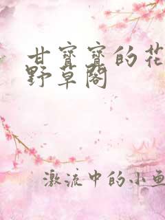 甘宝宝的花苞澜野草阁