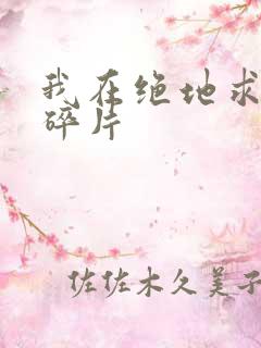 我在绝地求生捡碎片