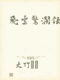 飞云惊澜录