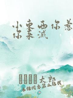 小东西你惹的火你来灭