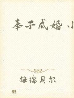 奉子成婚 小说