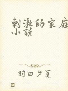 刺激的家庭乱仑小说