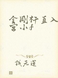 金刚杵直入莲花宫小f