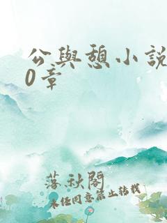 公与憩小说400章