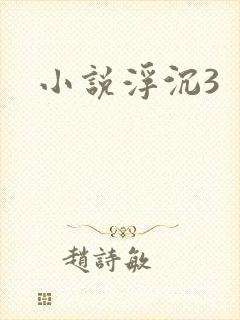 小说浮沉3