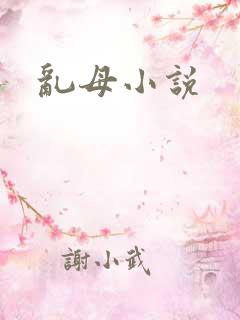 乱母小说