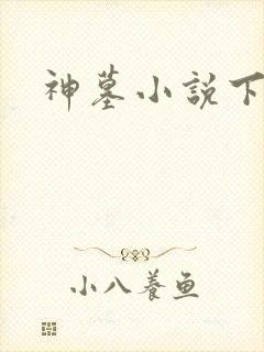神墓小说下载