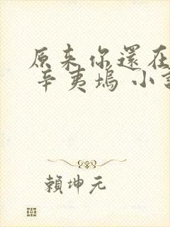 原来你还在这里 辛夷坞 小说