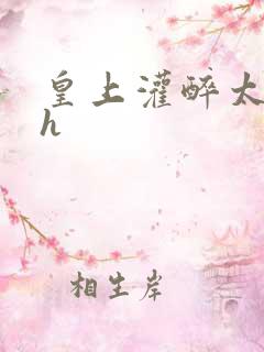 皇上灌醉太子妃h