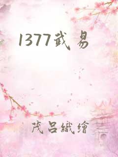 1377武易